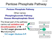 Pentose Phosphate Pathway
