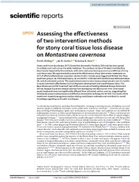 Assessing the Effectiveness of Two Intervention Methods for Stony Coral