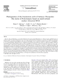 Phylogenetics of the Brachyuran Crabs (Crustacea: Decapoda): the Status of Podotremata Based on Small Subunit Nuclear Ribosomal RNA