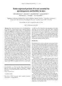 Testis-Expressed Protein 33 Is Not Essential for Spermiogenesis and Fertility in Mice