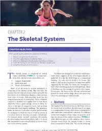 The Skeletal System