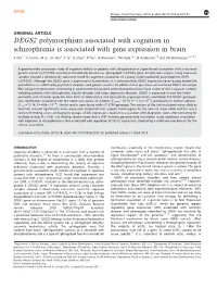 DEGS2 Polymorphism Associated with Cognition in Schizophrenia Is Associated with Gene Expression in Brain