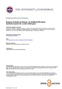 Enzyme Activity by Design: an Artificial Rhodium