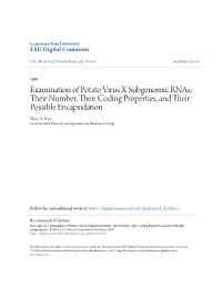 Examination of Potato Virus X Subgenomic Rnas: Their Umbn Er, Their Oc Ding Properties, and Their Possible Encapsidation