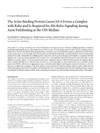 The Actin-Binding Protein Canoe/AF-6 Forms a Complex with Robo and Is Required for Slit-Robo Signaling During Axon Pathfinding at the CNS Midline
