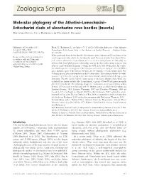 Ecitocharini Clade of Aleocharine Rove Beetles (Insecta)