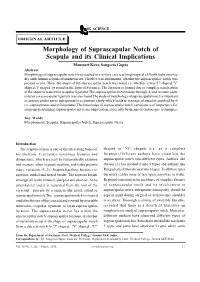 Morphology of Suprascapular Notch of Scapula and Its Clinical Implications