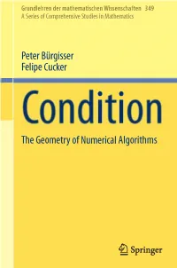 Condition the Geometry of Numerical Algorithms