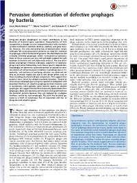 Pervasive Domestication of Defective Prophages by Bacteria