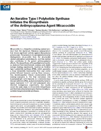 An Iterative Type I Polyketide Synthase Initiates the Biosynthesis of the Antimycoplasma Agent Micacocidin