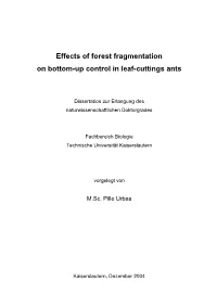 Effects of Forest Fragmentation on Bottom-Up Control in Leaf-Cuttings Ants