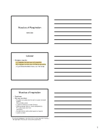 Muscles of Respiration I-Clicker Muscles of Inspiration