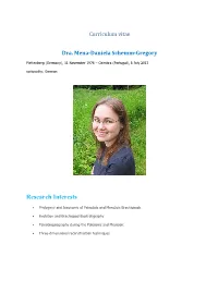 Research Interests
