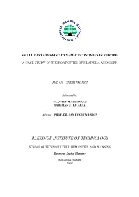Blekinge Institute of Technology