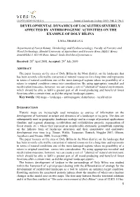 Changes in the Fragmentation and Ecological Stability of the Floodplain