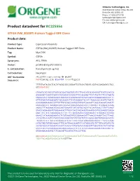 GTF3A (NM 002097) Human Tagged ORF Clone Product Data