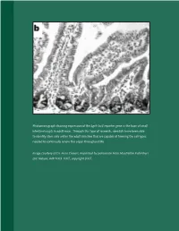 Research on the Basic Biology of the Digestive System