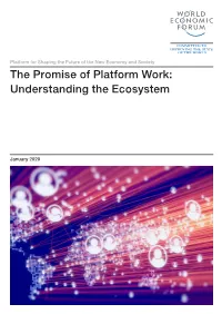 The Promise of Platform Work: Understanding the Ecosystem