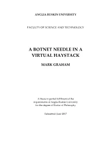 A Botnet Needle in a Virtual Haystack