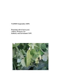 Snow Pea Final Report
