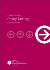 A Practical Guide to Policy Making in Northern Ireland