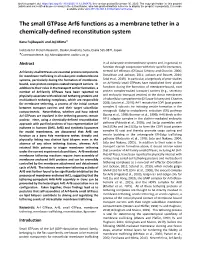 The Small Gtpase Arf6 Functions As a Membrane Tether in a Chemically-Defined Reconstitution System