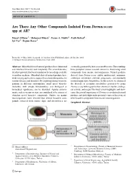 Are There Any Other Compounds Isolated from Dermacoccus Spp at All?