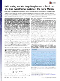 Fluid Mixing and the Deep Biosphere of a Fossil Lost City-Type Hydrothermal System at the Iberia Margin