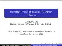 Homotopy Theory and Neural Information Networks