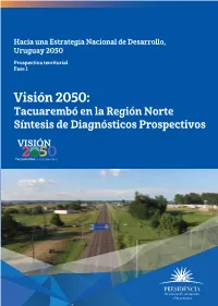 Visión 2050: Tacuarembó En La Región Norte Síntesis De Diagnósticos Prospectivos Hacia Una Estrategia Nacional De Desarrollo, Uruguay 2050