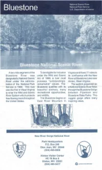 A Ten-Mile Segment of the to Be Eligible for Inclusion Bluestone