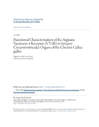 Functional Characterization of the Arginine
