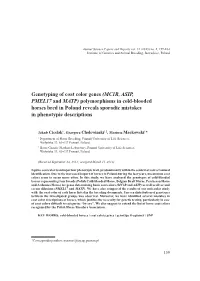 Genotyping of Coat Color Genes (MC1R, ASIP, PMEL17 and MATP) Polymorphisms in Cold-Blooded Horses Bred in Poland Reveals Sporadic Mistakes in Phenotypic Descriptions