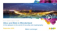Alice and Bob in Wonderland a First Glimpse in the World of Security and Cryptography