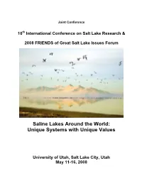 Saline Lakes Around the World: Unique Systems with Unique Values