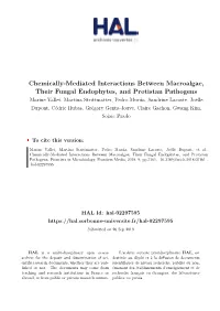 Chemically-Mediated Interactions Between Macroalgae, Their Fungal