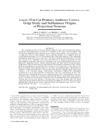 Layer VI in Cat Primary Auditory Cortex: Golgi Study and Sublaminar Origins of Projection Neurons