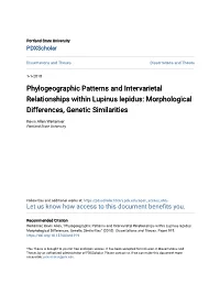 Phylogeographic Patterns and Intervarietal Relationships Within Lupinus Lepidus: Morphological Differences, Genetic Similarities