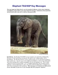 Elephant TAG/SSP Key Messages
