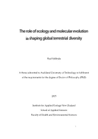 Paul Mcbride a Thesis Submitted to Auckland University of Technology