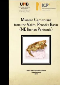 Miocene Carnivorans from the Vallès-Penedès Basin (NE Iberian Peninsula)