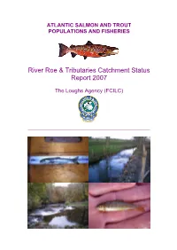 River Roe & Tributaries Catchment Status Report 2007