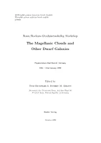 The Magellanic Clouds and Other Dwarf Galaxies