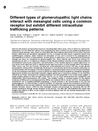 Different Types of Glomerulopathic Light Chains Interact with Mesangial Cells Using a Common Receptor but Exhibit Different Intracellular Trafficking Patterns