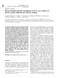 Energy-Dependent Nucleolar Localization of P53 in Vitro Requires Two Discrete Regions Within the P53 Carboxyl Terminus