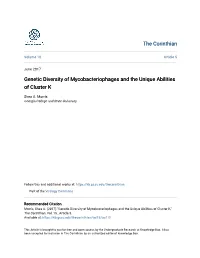 Genetic Diversity of Mycobacteriophages and the Unique Abilities of Cluster K