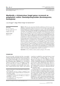 Muggia 2020 Plant and Fungal Systematics