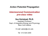 Action Potential Propagation
