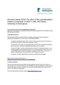 The Effect of the Polyadenylation Inhibitor Cordycepin on MCF-7 Cells