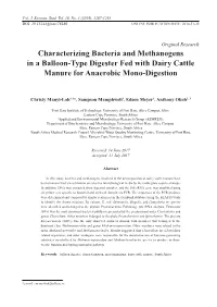 Characterizing Bacteria and Methanogens in a Balloon-Type Digester Fed with Dairy Cattle Manure for Anaerobic Mono-Digestion
